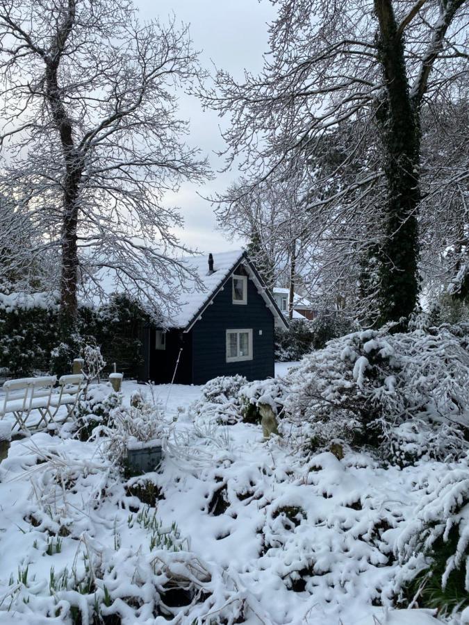 Garden Find Zandvoort Bentveld Extérieur photo